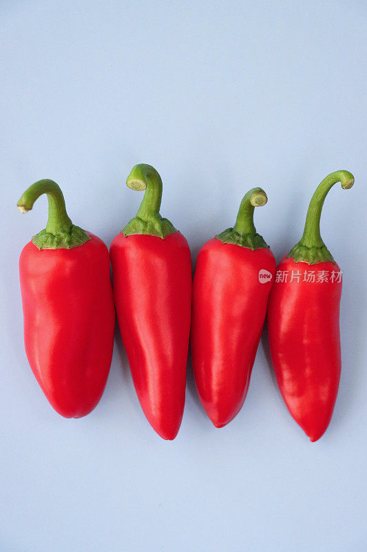 一排红色迷你辣椒(Capsicum annuum)的特写图像，蓝色背景，高架视图，复制空间